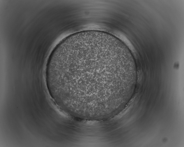 X0000102041043200808081830