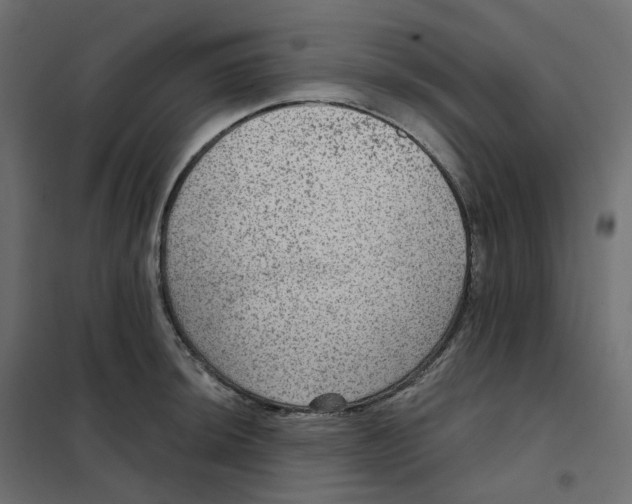 X0000102041044200808081830