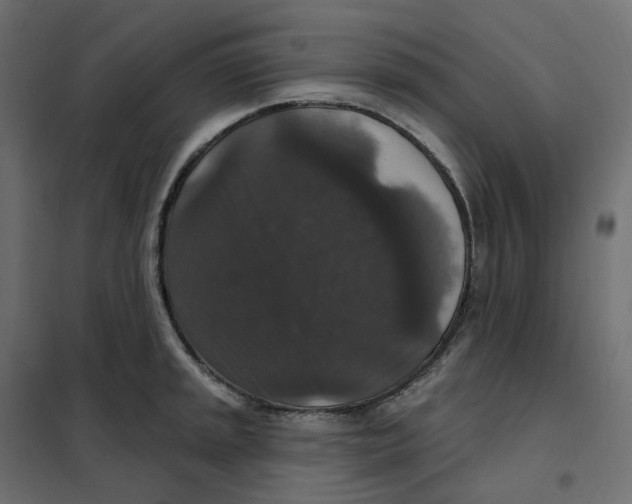 X0000102041045200808081830