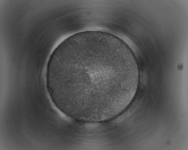 X0000102041046200808081830