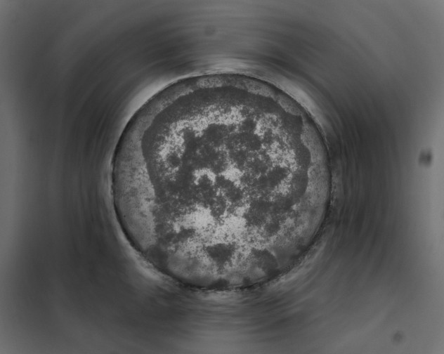 X0000102041047200808081830