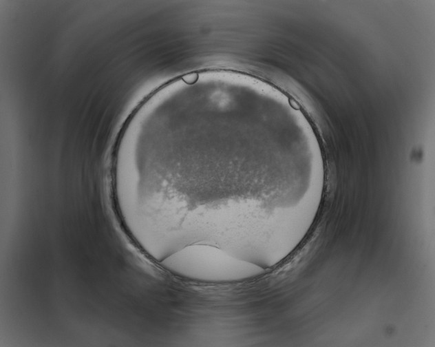 X0000102041048200808081830