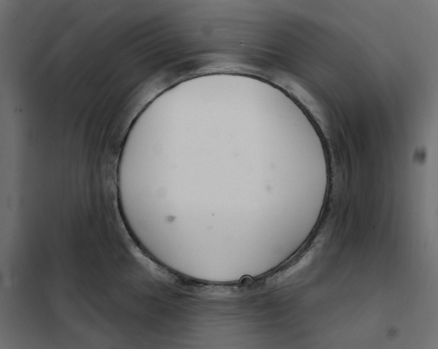 X0000102041049200808081830