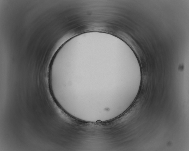 X0000102041050200808081830