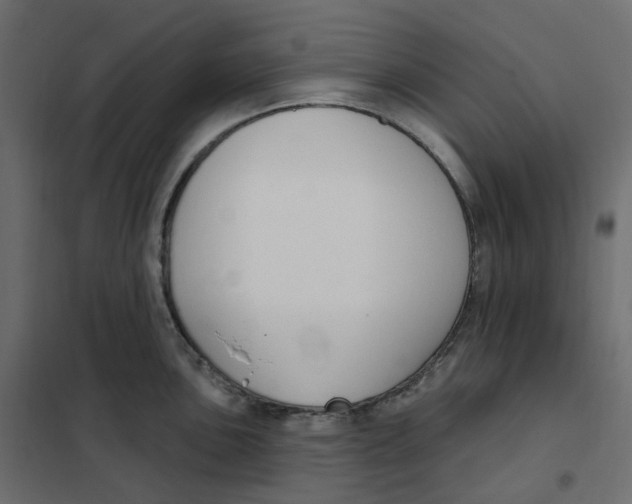 X0000102041051200808081830