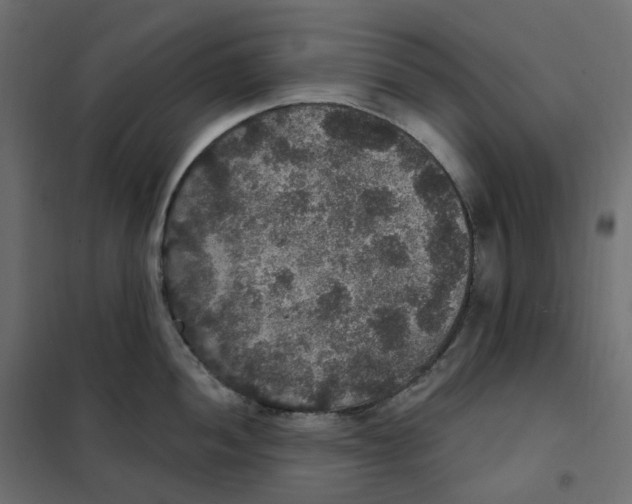 X0000102041052200808081830