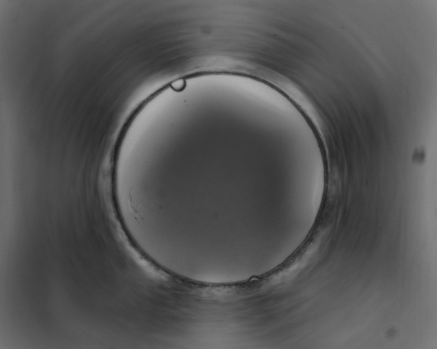 X0000102041053200808081830