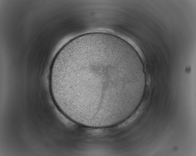 X0000102041054200808081830