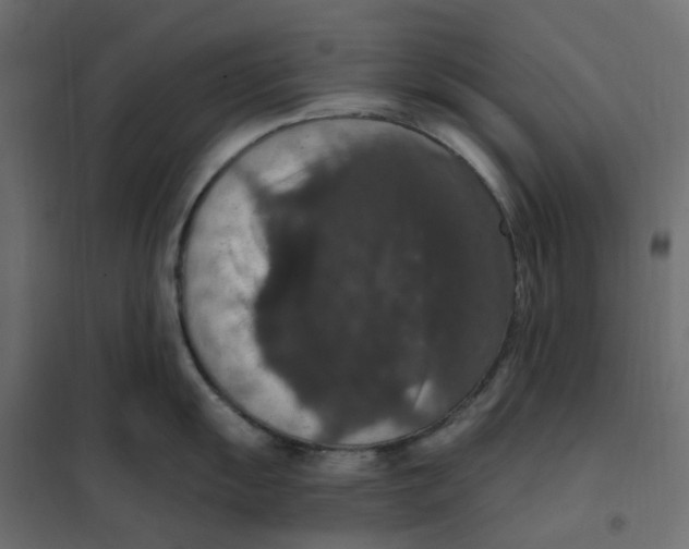 X0000102041055200808081830