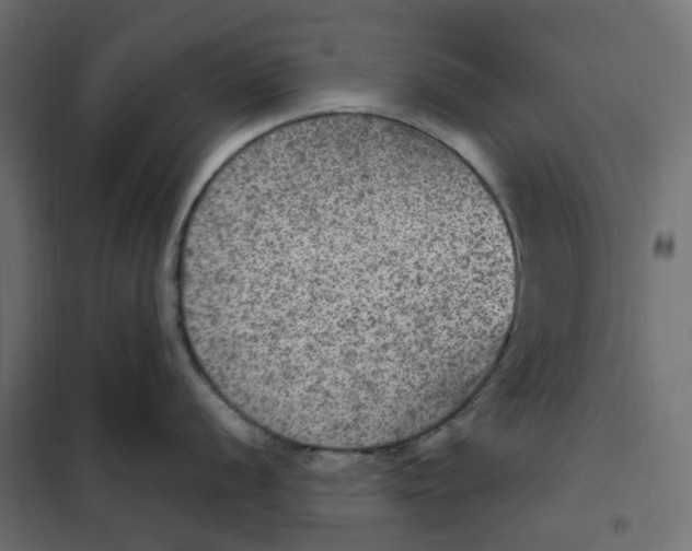 X0000102041056200808081830