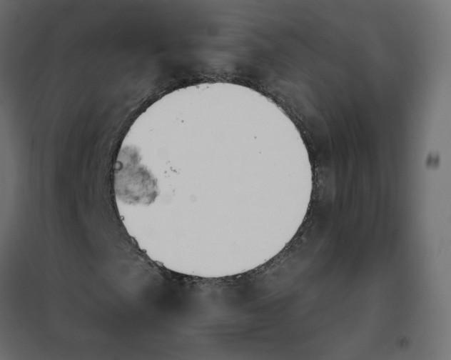 X0000102041057200808081830