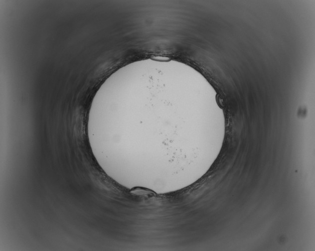 X0000102041058200808081830