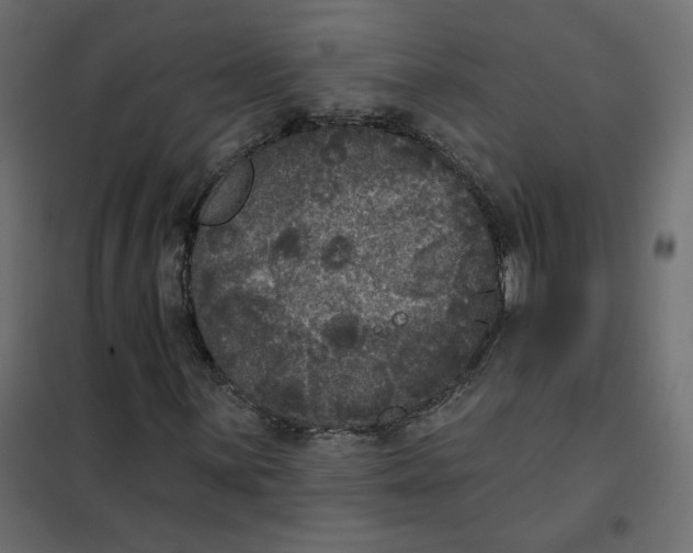 X0000102041059200808081830