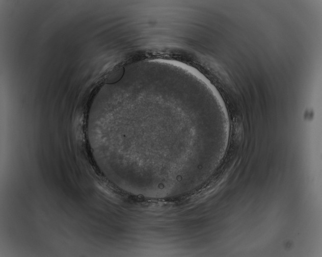 X0000102041060200808081829