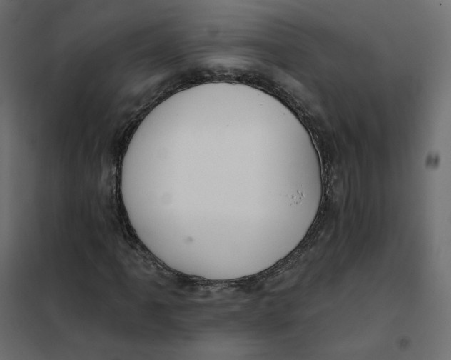 X0000102041061200808081829