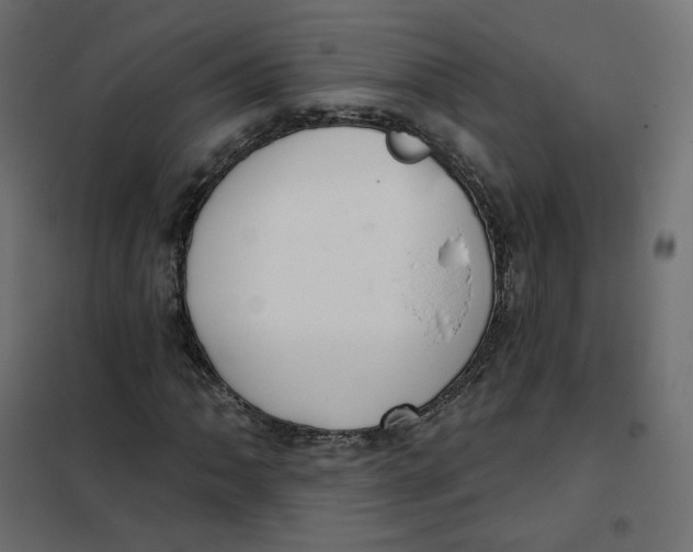 X0000102041062200808081829