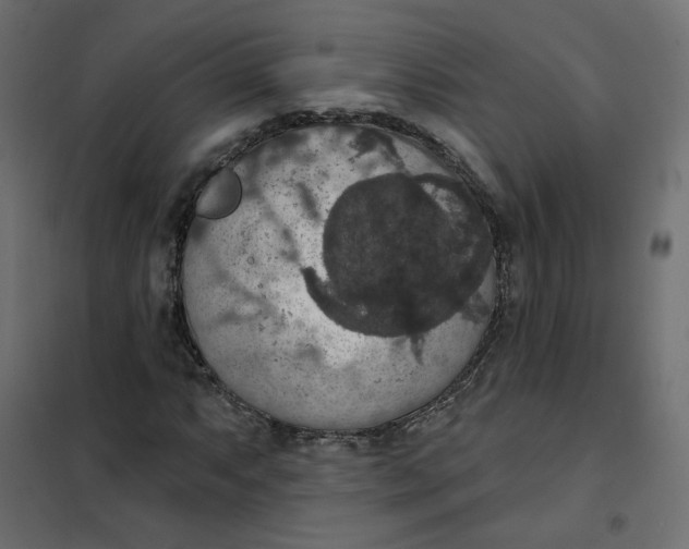 X0000102041063200808081829