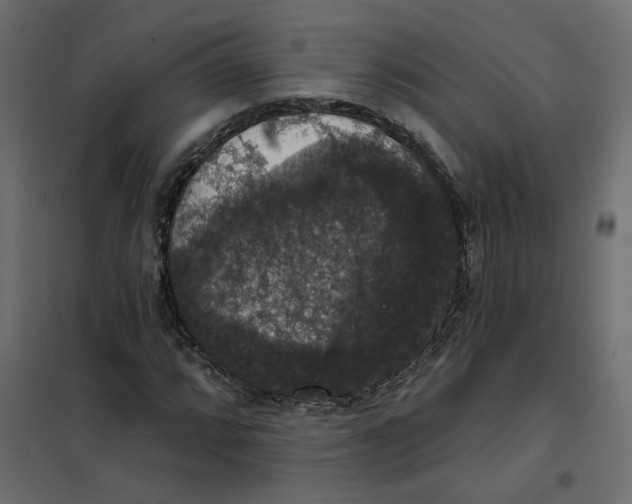 X0000102041064200808081829