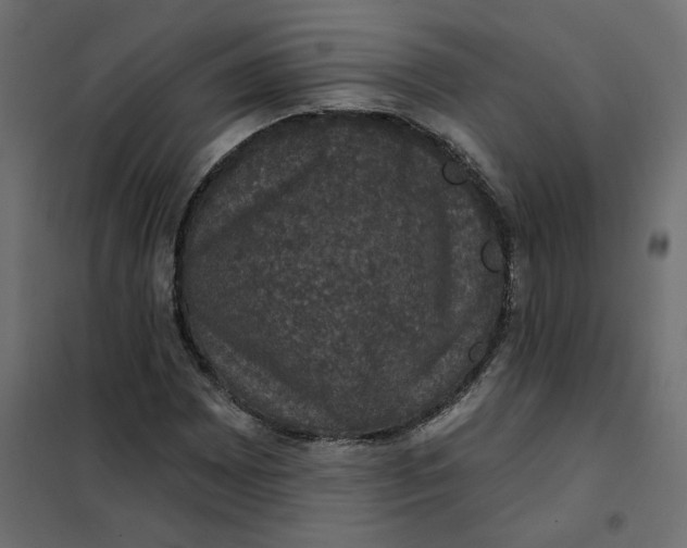 X0000102041065200808081829