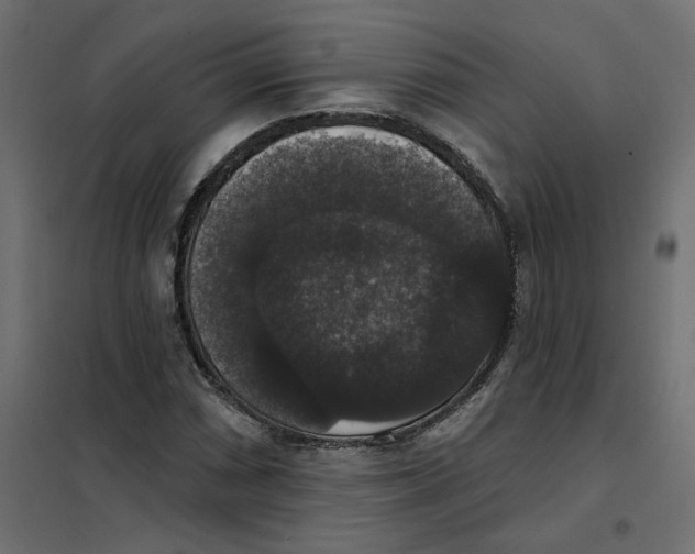 X0000102041066200808081829