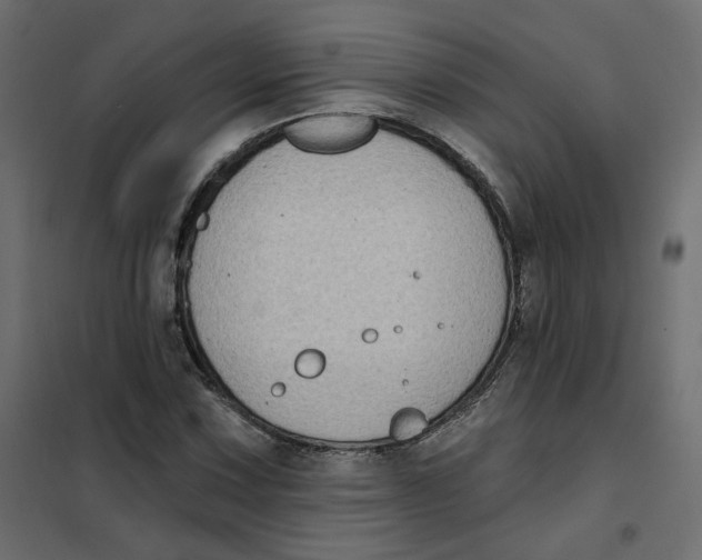 X0000102041067200808081829