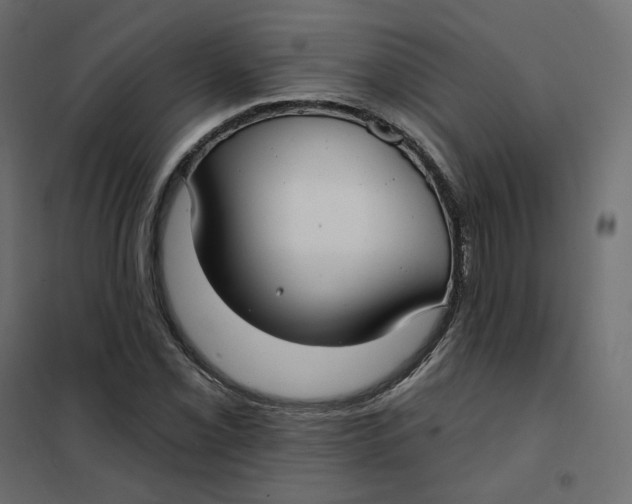 X0000102041069200808081829