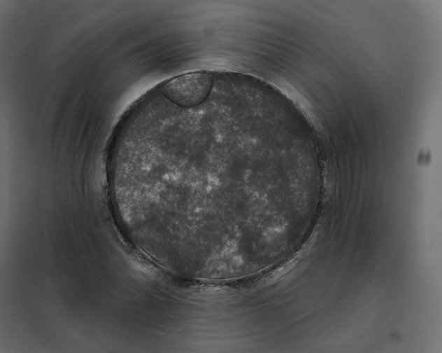 X0000102041070200808081829