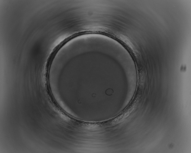 X0000102041071200808081829