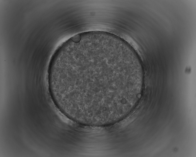 X0000102041072200808081829