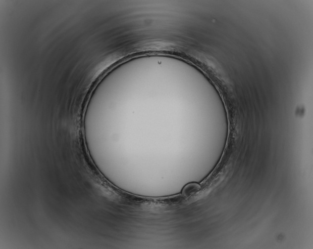 X0000102041073200808081829