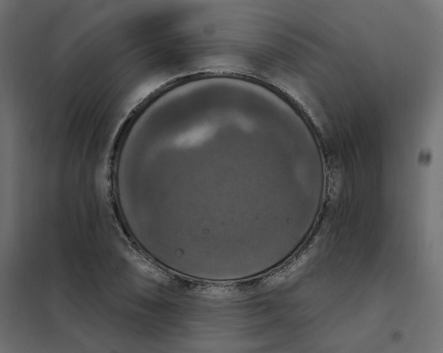 X0000102041074200808081829