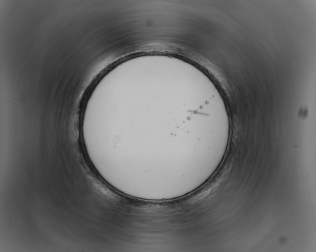 X0000102041075200808081829