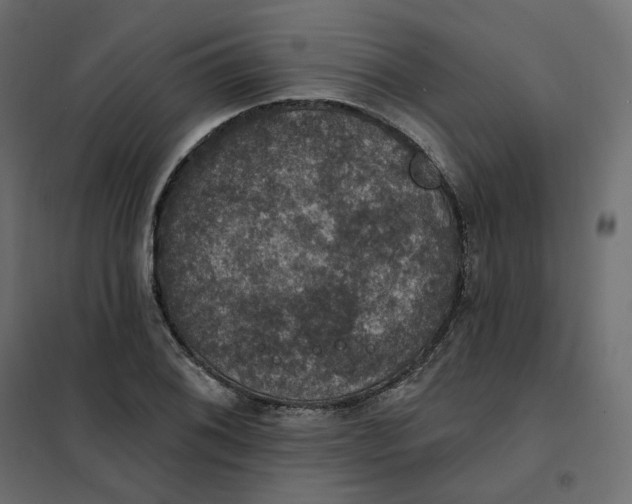 X0000102041076200808081829