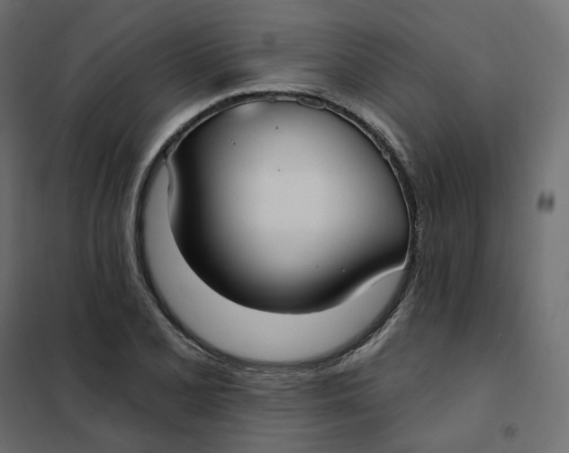 X0000102041077200808081829