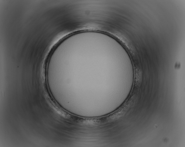 X0000102041078200808081829