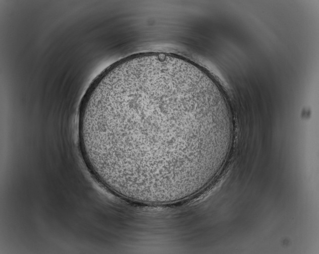 X0000102041079200808081829