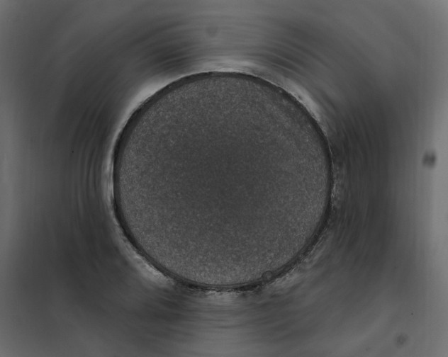 X0000102041080200808081829