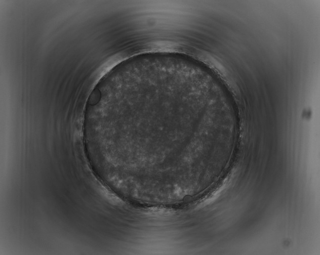 X0000102041081200808081829