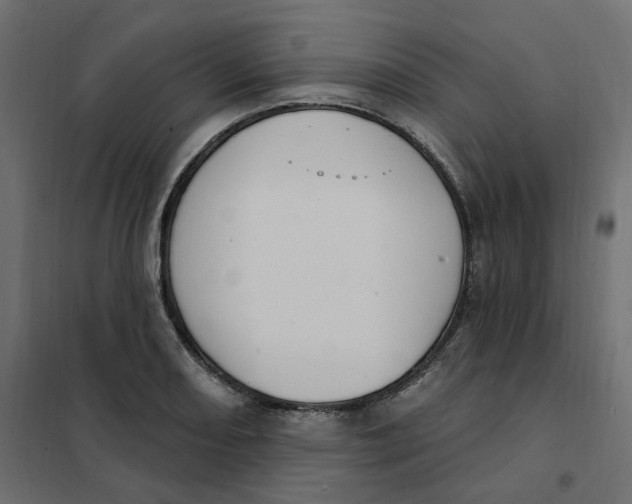 X0000102041082200808081829