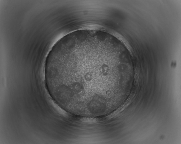 X0000102041083200808081829