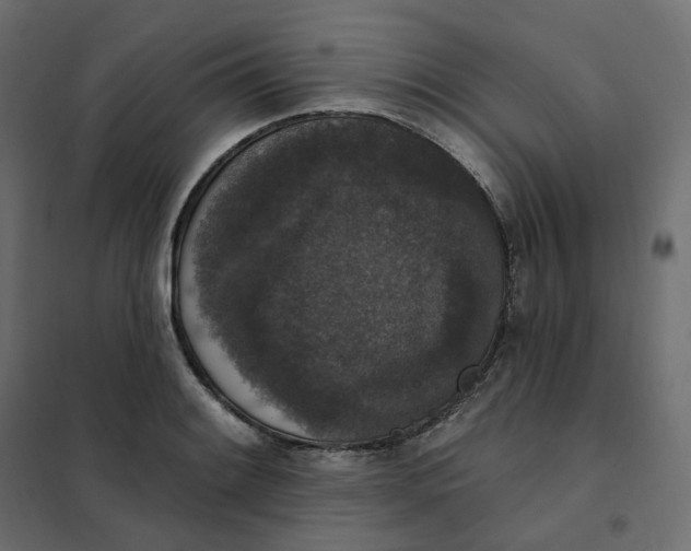 X0000102041084200808081829