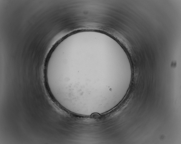 X0000102041085200808081829