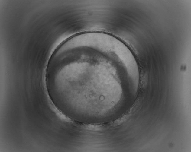 X0000102041086200808081829