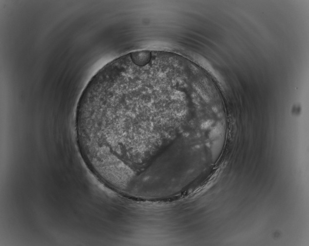 X0000102041087200808081829