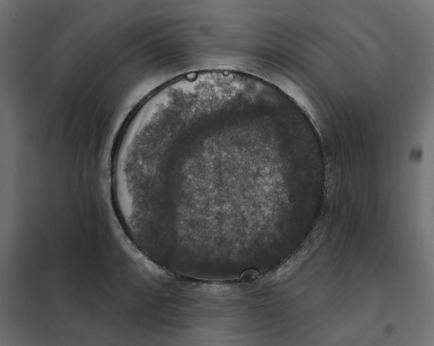 X0000102041088200808081829