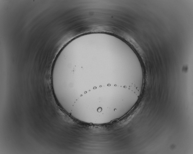 X0000102041089200808081829