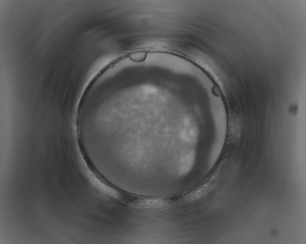 X0000102041090200808081829