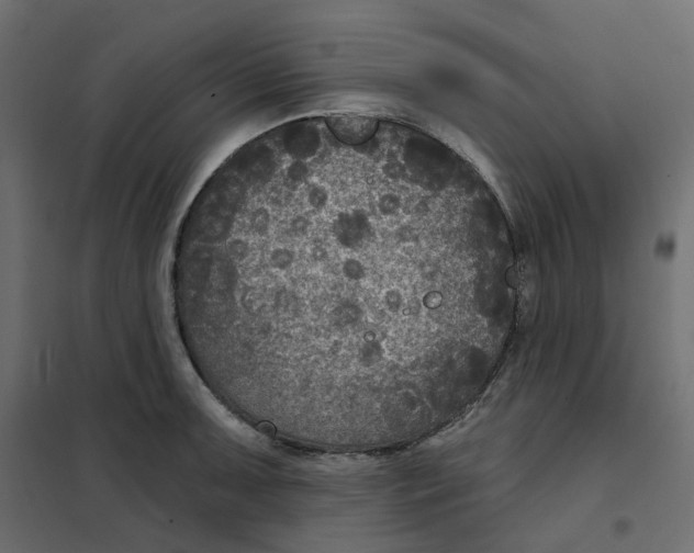 X0000102041091200808081829