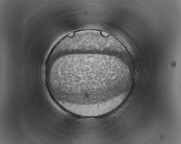 X0000102041092200808081829