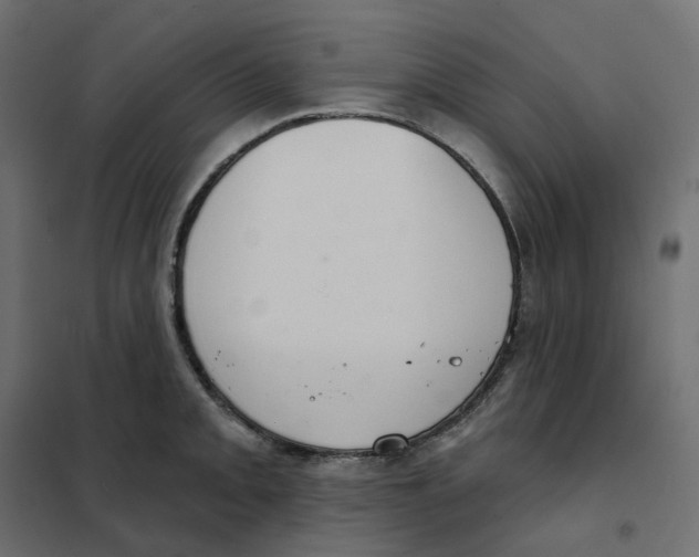 X0000102041093200808081829